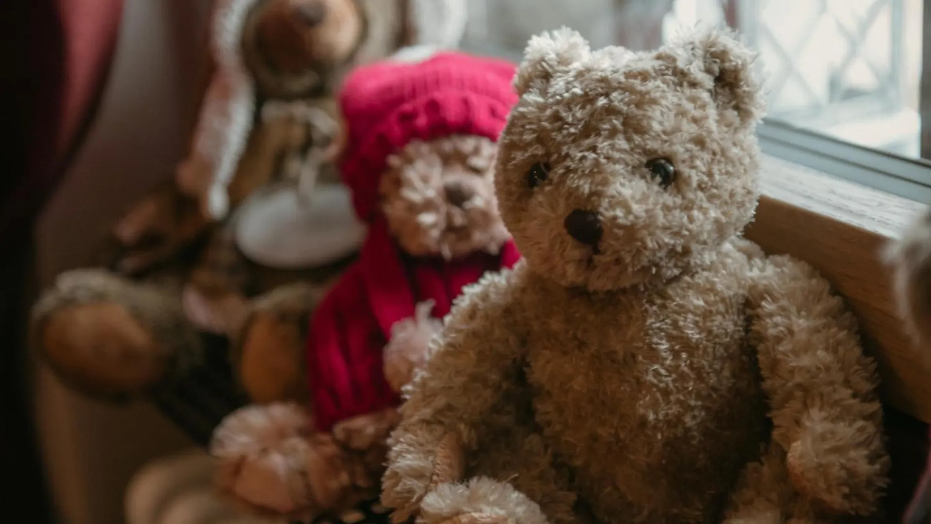 La Tana Dell'Orso Bormio - Nature And Welness ヴァルディデントロ アパート