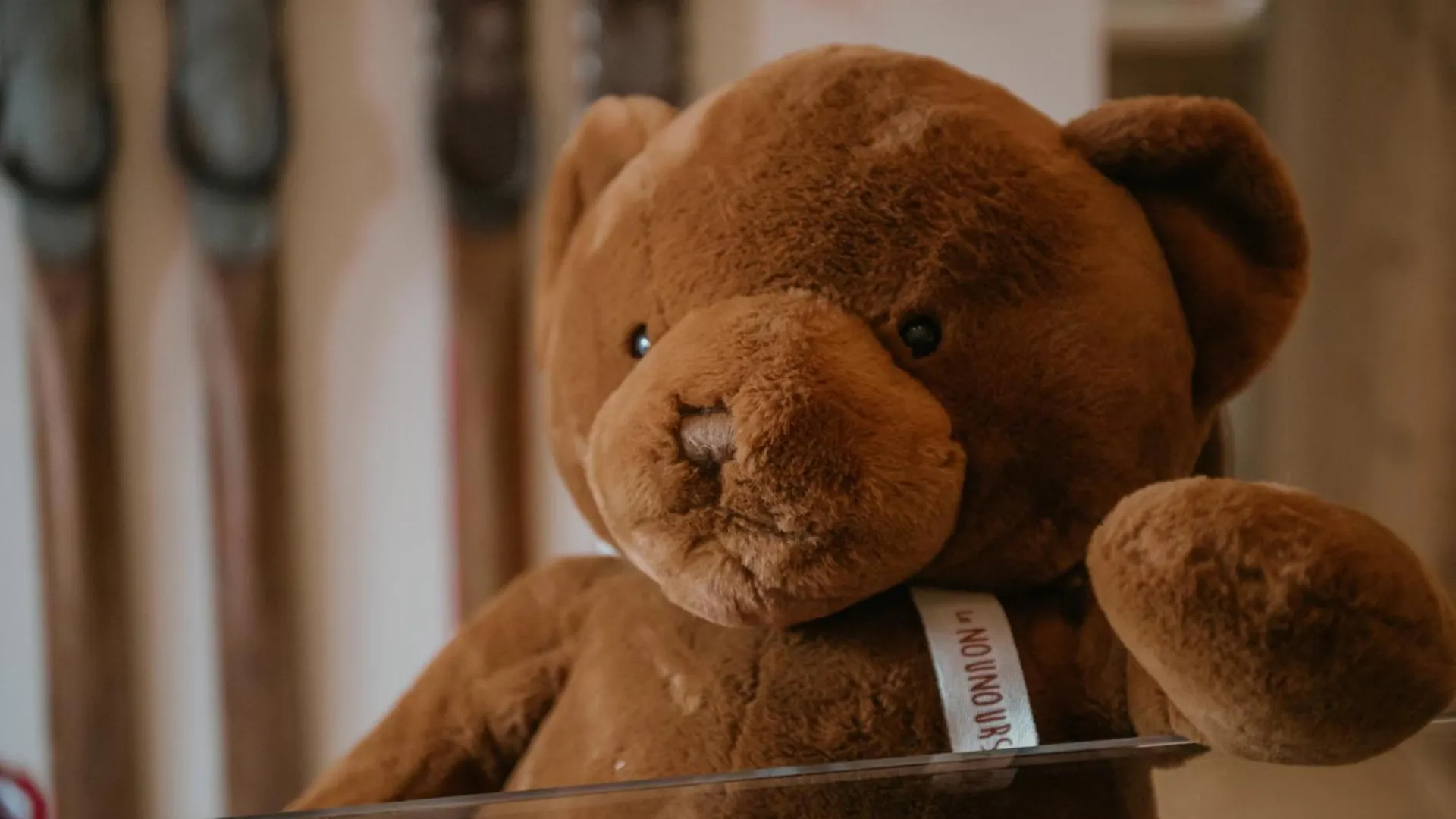 アパート La Tana Dell'Orso Bormio - Nature And Welness ヴァルディデントロ