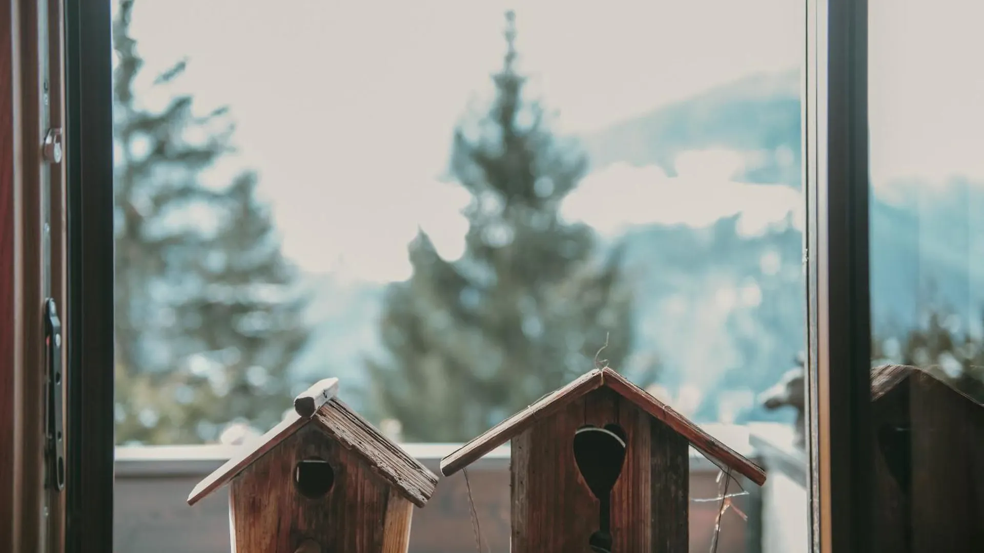 La Tana Dell'Orso Bormio - Nature And Welness ヴァルディデントロ