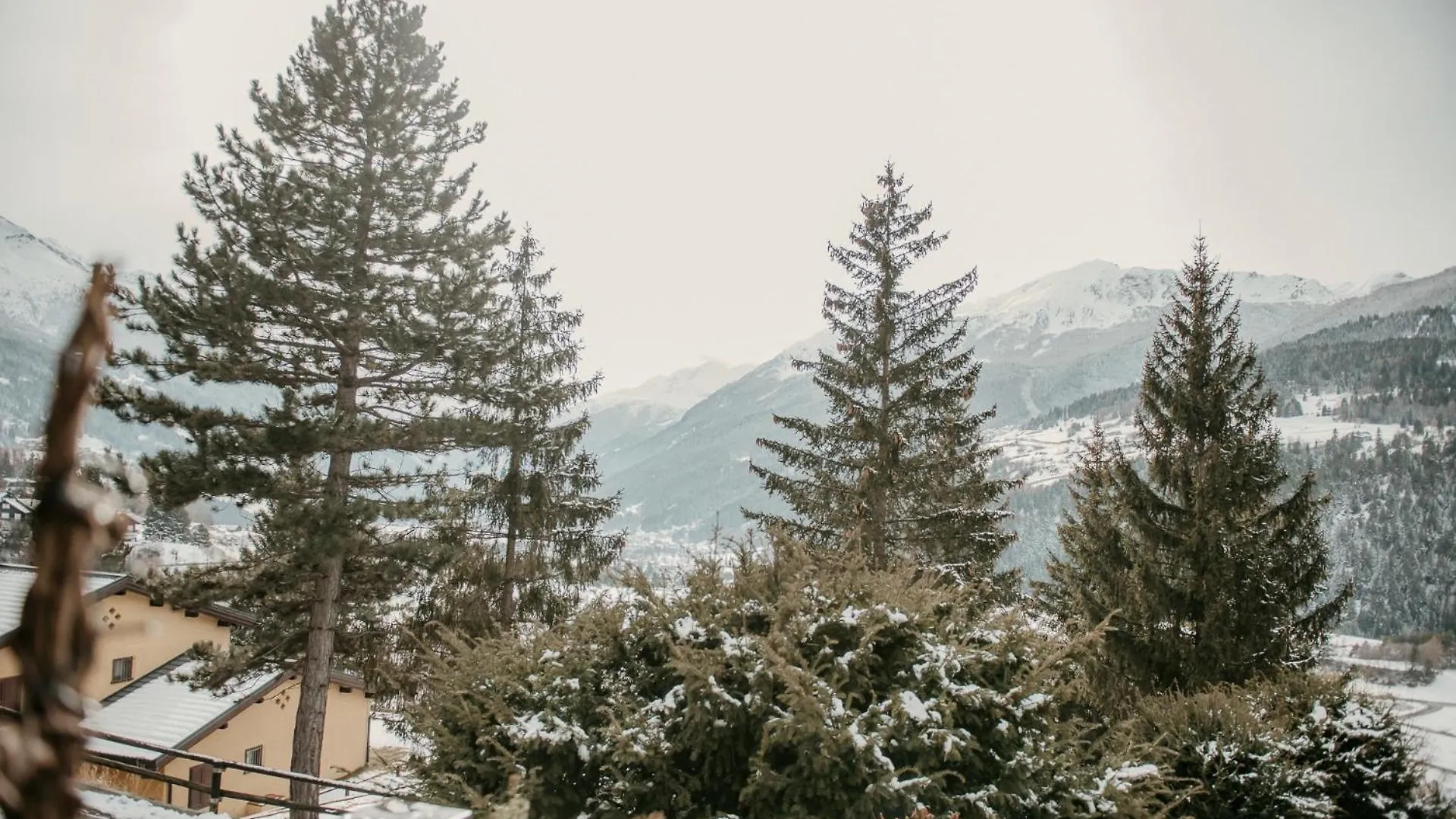 La Tana Dell'Orso Bormio - Nature And Welness ヴァルディデントロ 0*,  イタリア